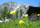 Frühling Sexten